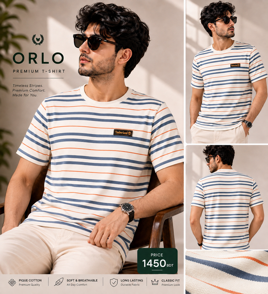 Premium Striped T-Shirt – White | C-29